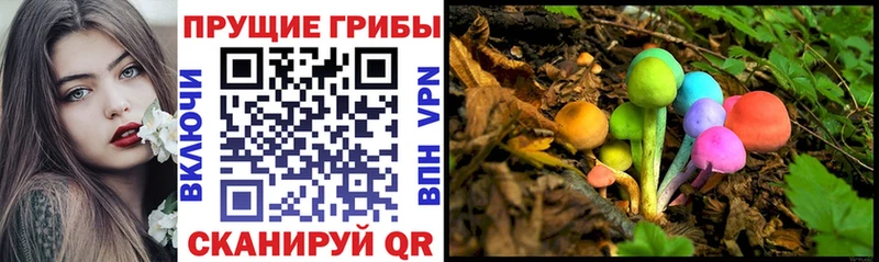 Псилоцибиновые грибы MAGIC MUSHROOMS  Купить где  Баксан 